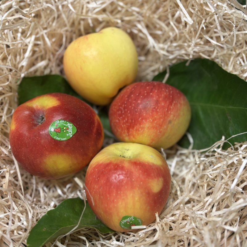 Pomme Juliette Bio
