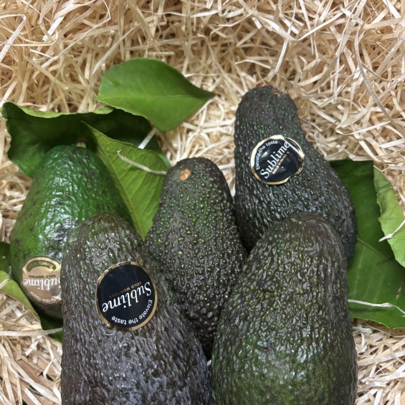 Avocat Hass
