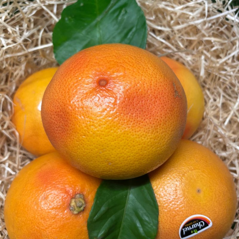 Pomelo