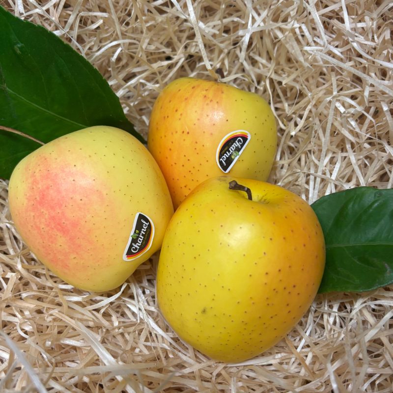 Pomme Golden