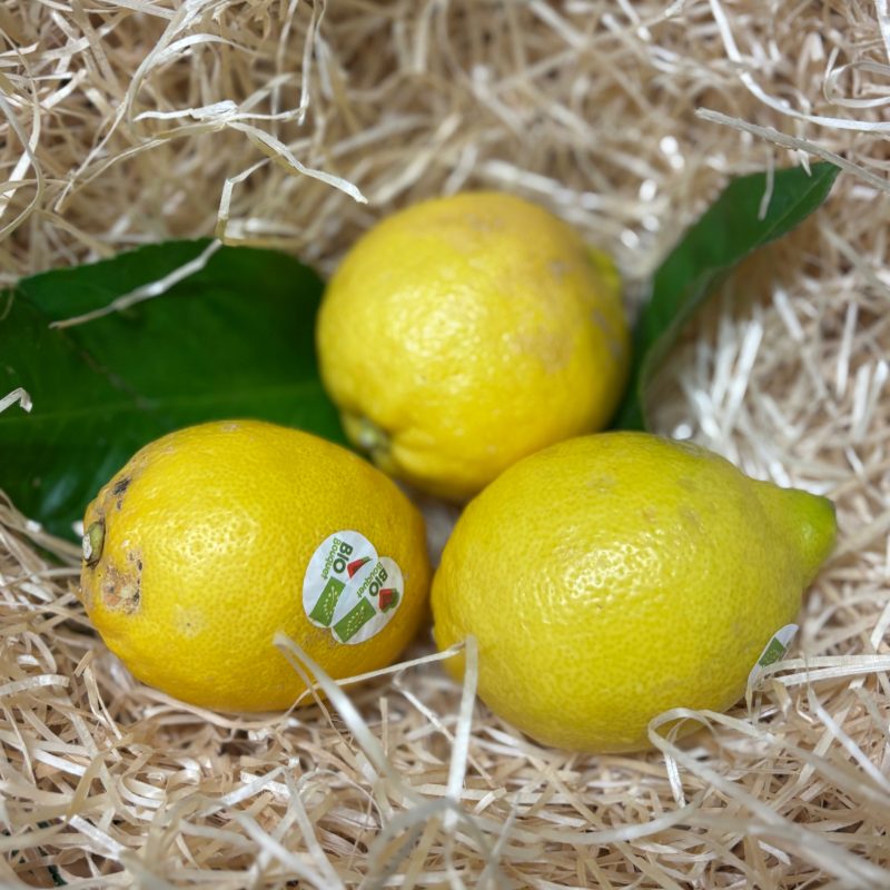 Citron Bio
