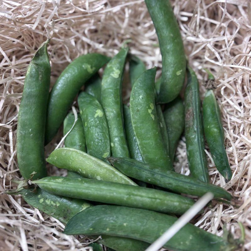 Petit pois