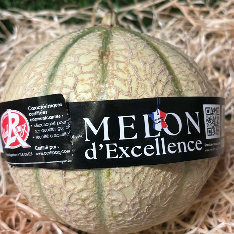 PETIT MELON